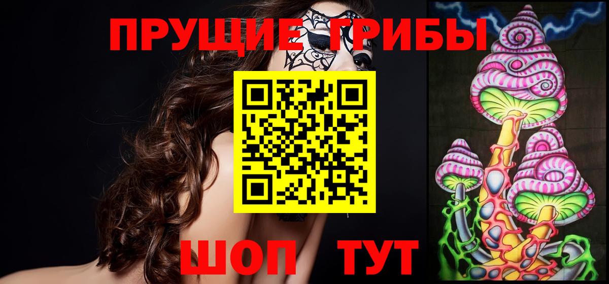 Медногорск  Псилоцибиновые грибы Psilocybine cubensis  Вход с VPN 